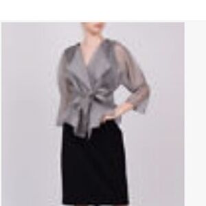 Gray Sheer Armani Silk Organza Jacket with Belt